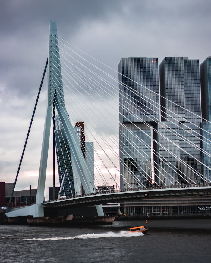 The Erasmus Bridge in Rotterdam with high-rise buildings behind it.